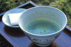 �Q�X�g���[��